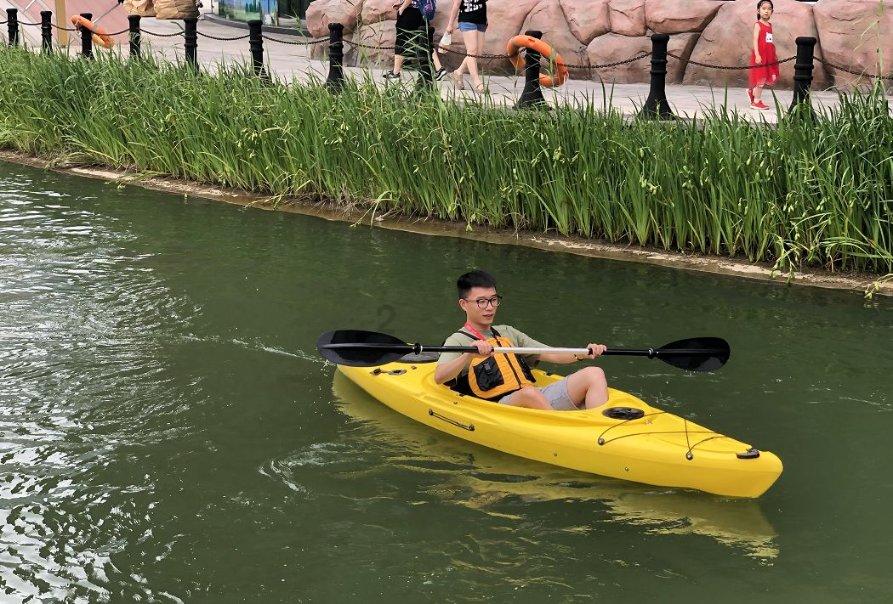 可爱的小考拉